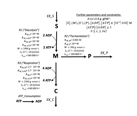 Toymodel visualization